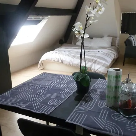 Flat At Relegem Апартаменты